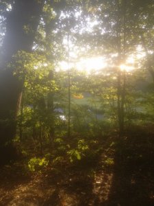 945557_10207921566494919_5913263170657234849_n