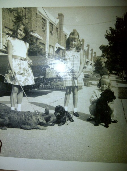 1164DDC0-6A38-4C00-A445-528DB7208085