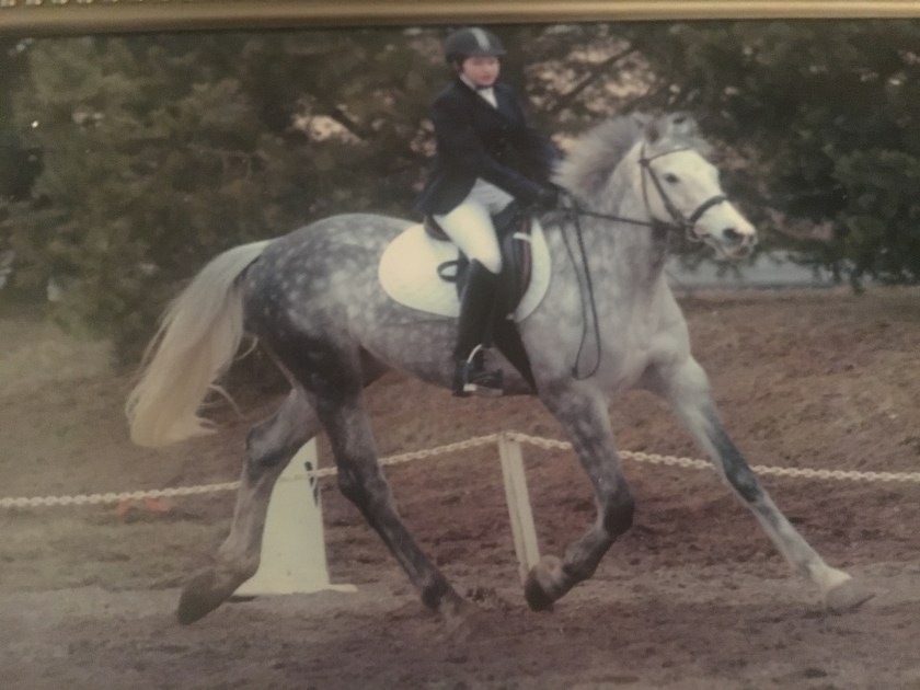 5176029C-1AA6-41BC-97C1-04FBB602E8C2