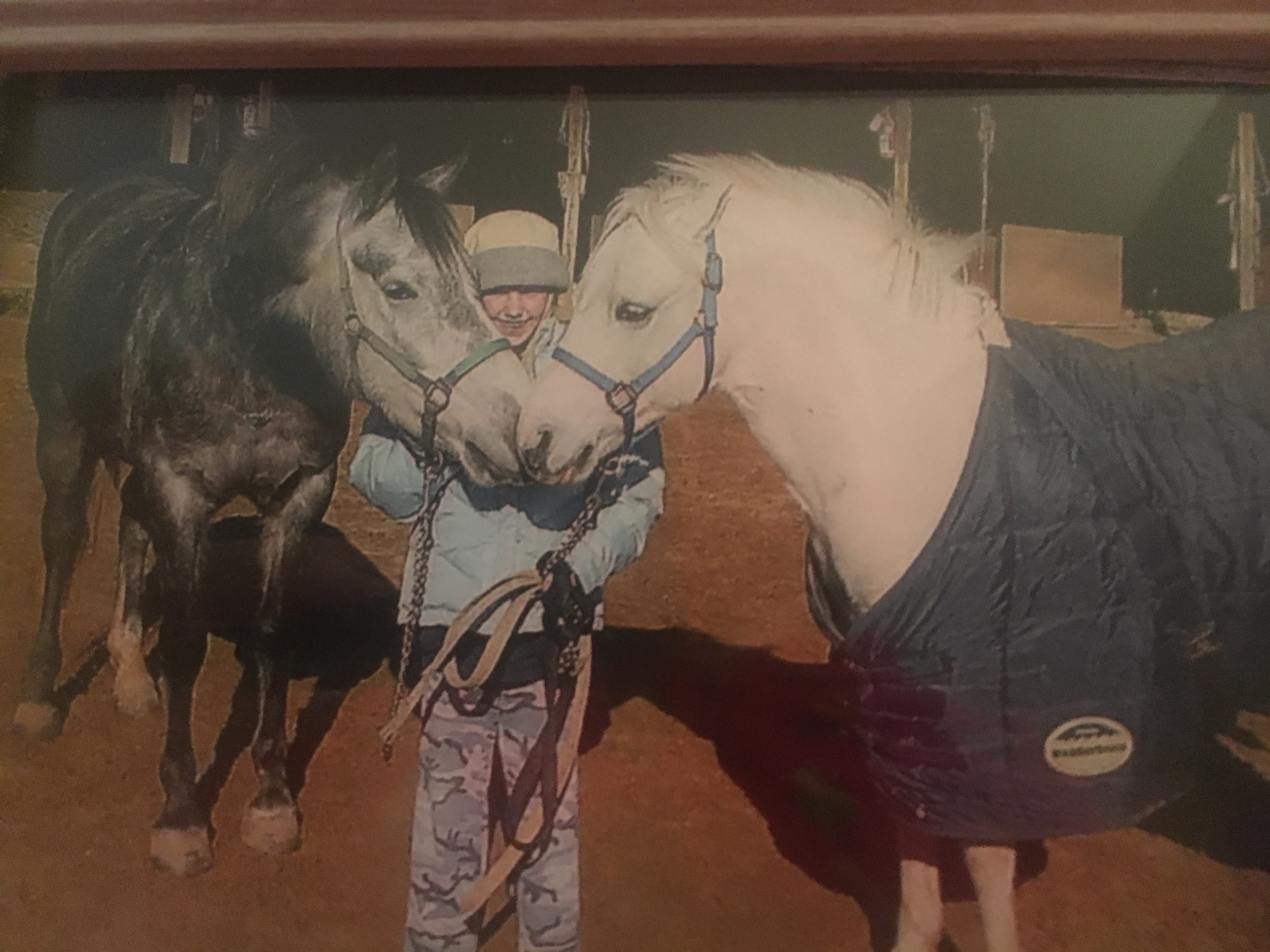 DC788234-1465-4C79-95E5-42BED1D2BCEB